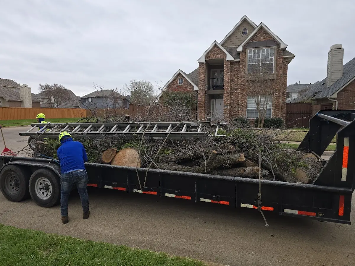 Expert Tree Removal with proper safety equipment in Lemont